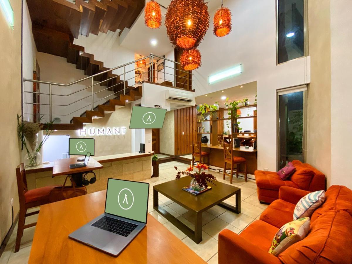 Humant Coliving - كانكون المظهر الخارجي الصورة
